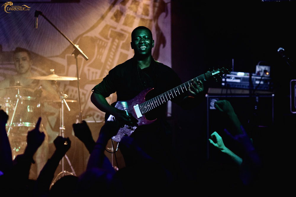 Animals as Leaders 