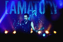 Amatory 