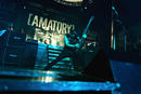 Amatory 