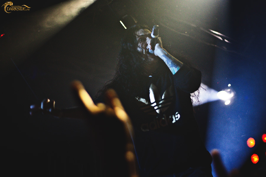Amatory 