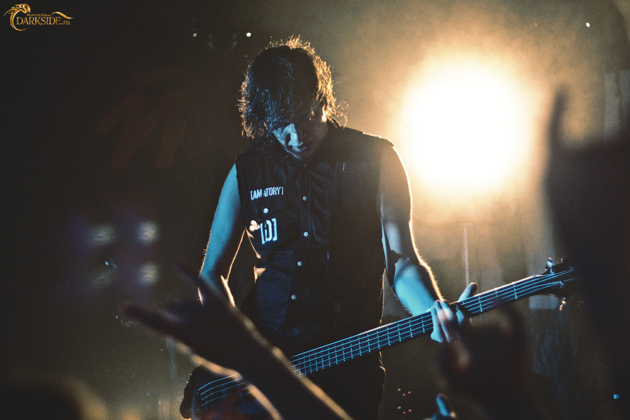 Amatory 