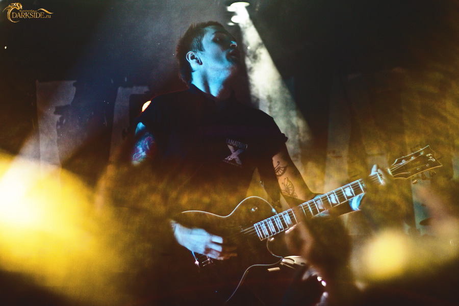 Amatory 