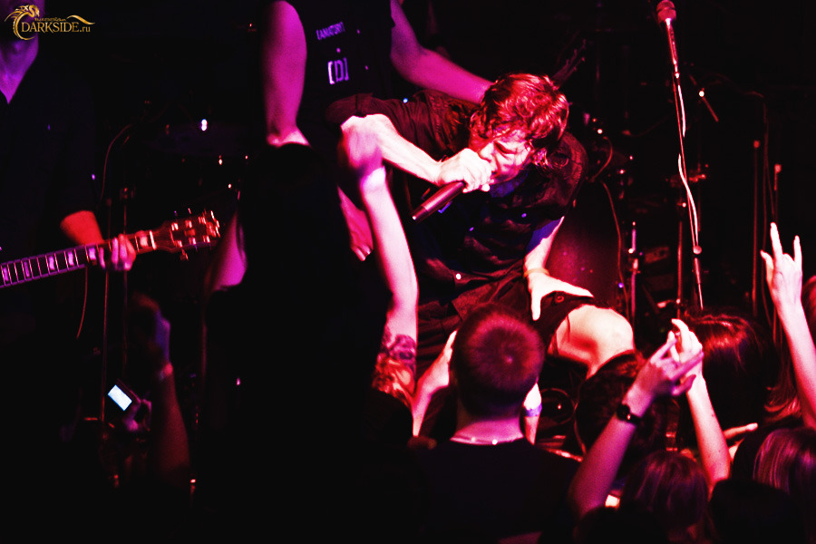 Amatory 