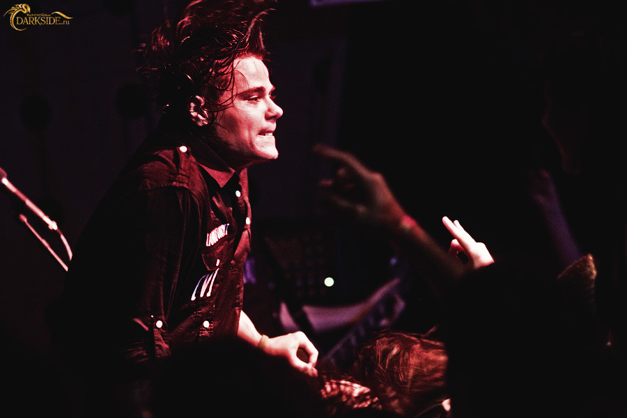 Amatory 