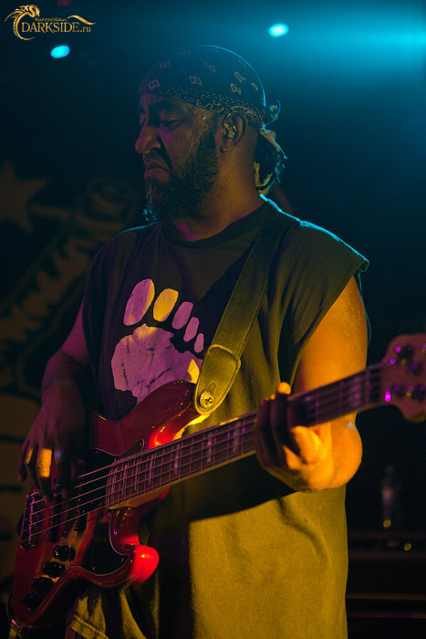 Gogol Bordello 