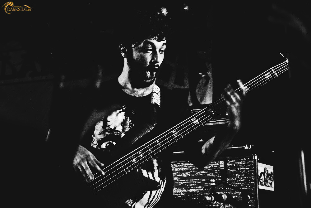Protest the Hero 