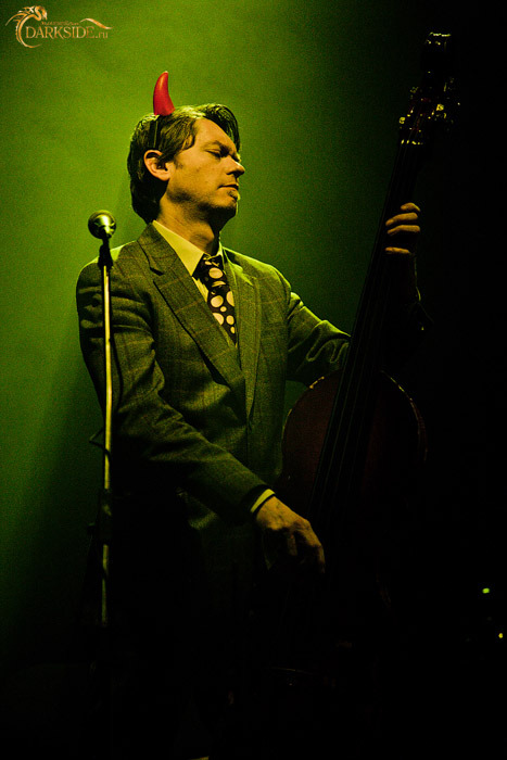 Tiger Lillies 
