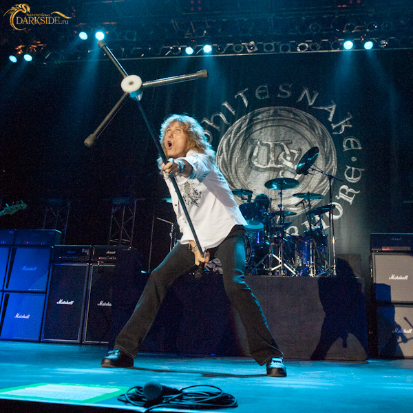 Whitesnake 