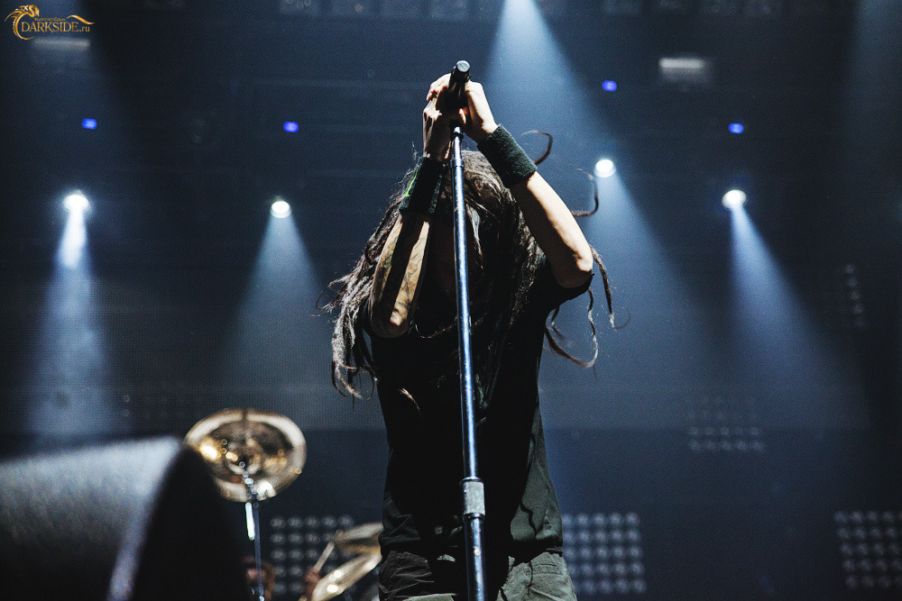 Korn 