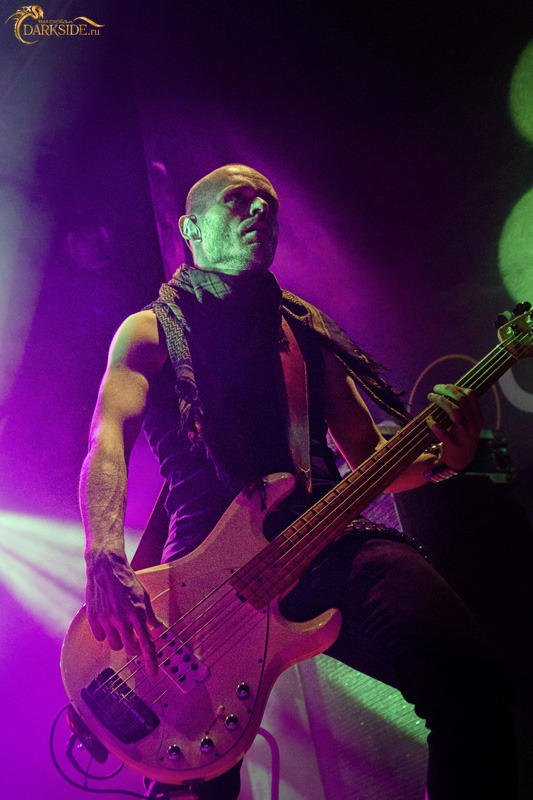 Poets of the Fall 