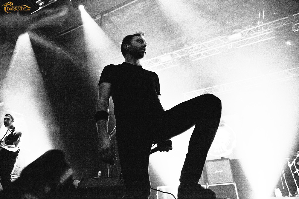 Rise Against 