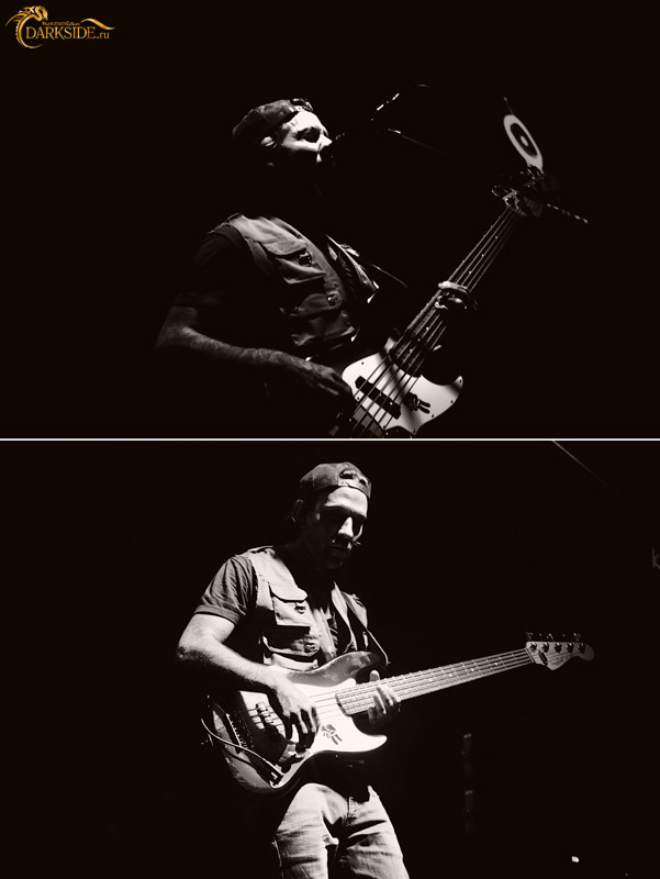 The Used 