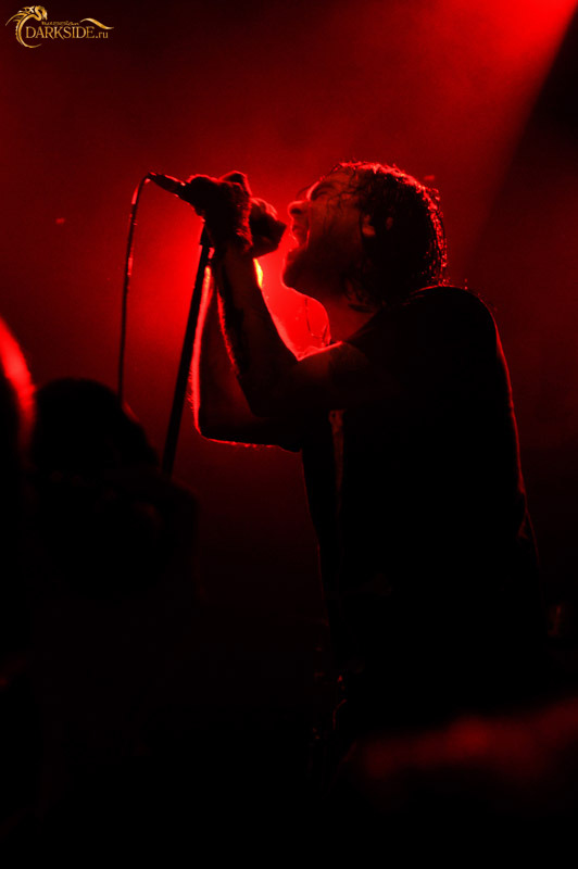 The Used 