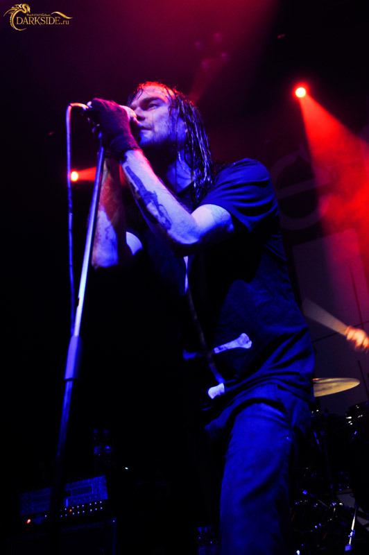 The Used 
