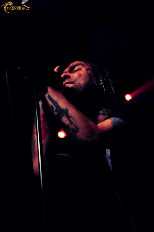 The Used 