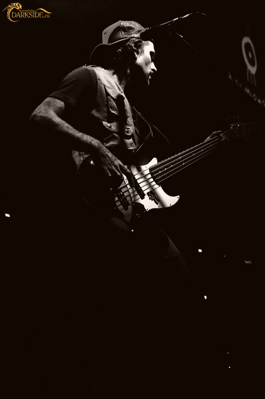 The Used 