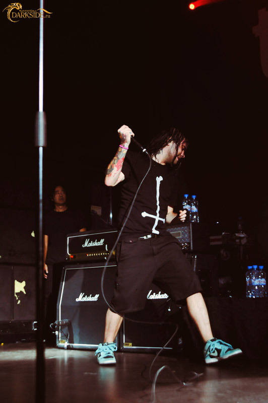 The Used 