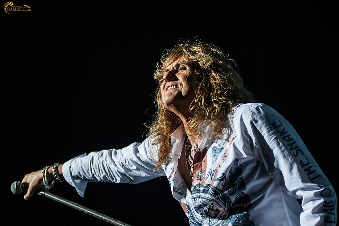 Whitesnake 