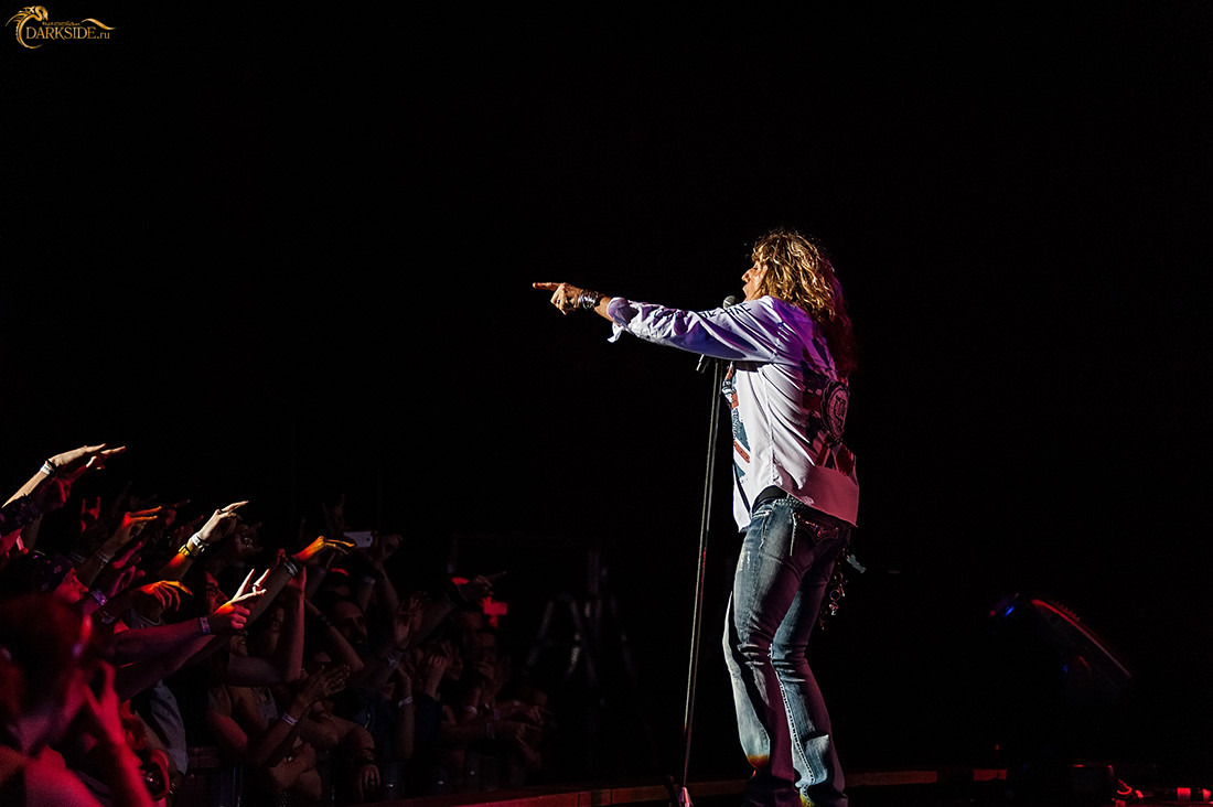 Whitesnake 