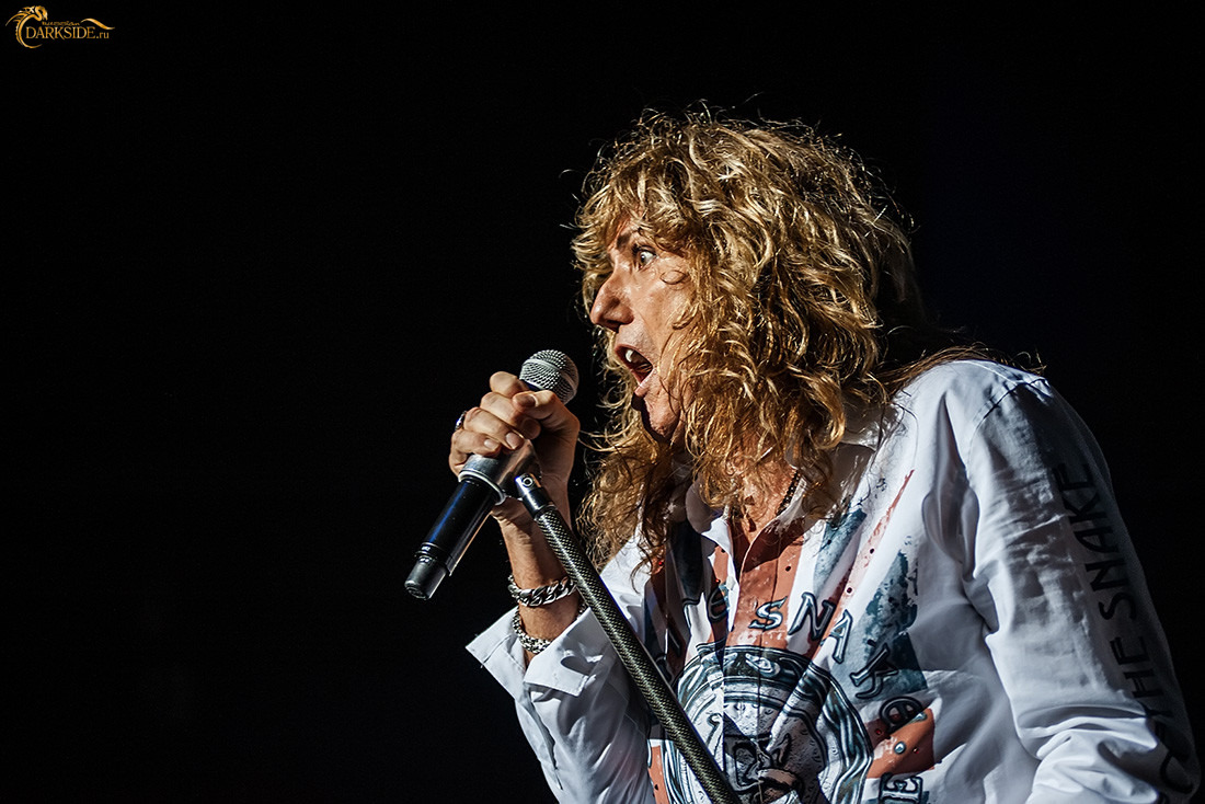 Whitesnake 