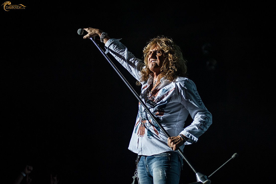 Whitesnake 