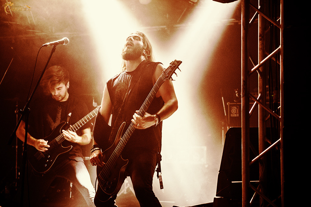 Betraying the Martyrs 