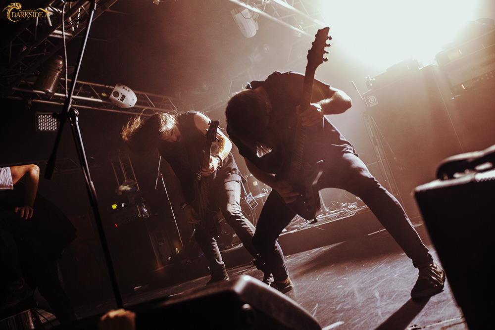 Betraying the Martyrs 