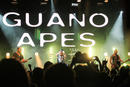 Guano Apes 