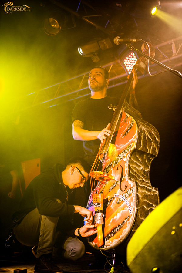 The Meteors 