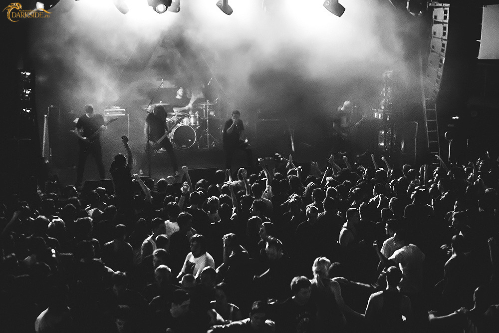 Adept 
