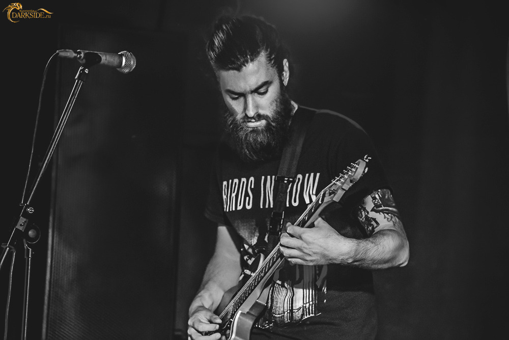 Defeater 
