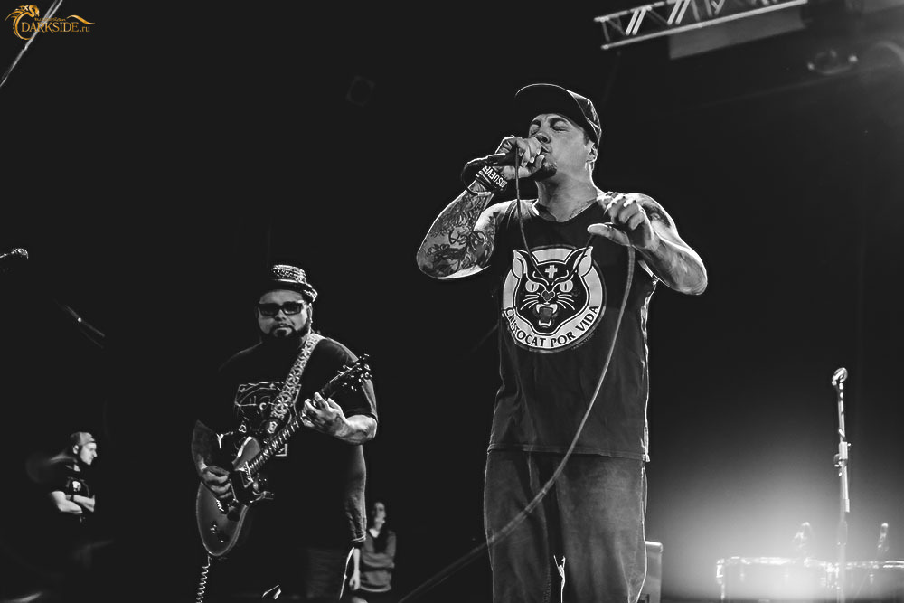 P.O.D. 