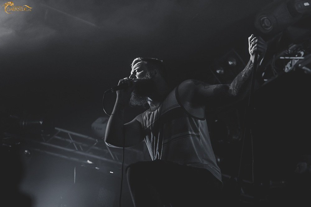 Protest the Hero 