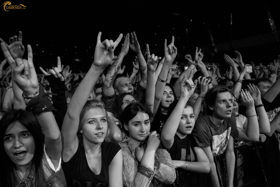 Rise Against 