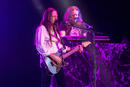 Whitesnake 