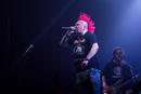 The Exploited 