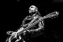 Backyard Babies 