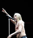 Iggy and the Stooges 