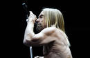 Iggy and the Stooges 