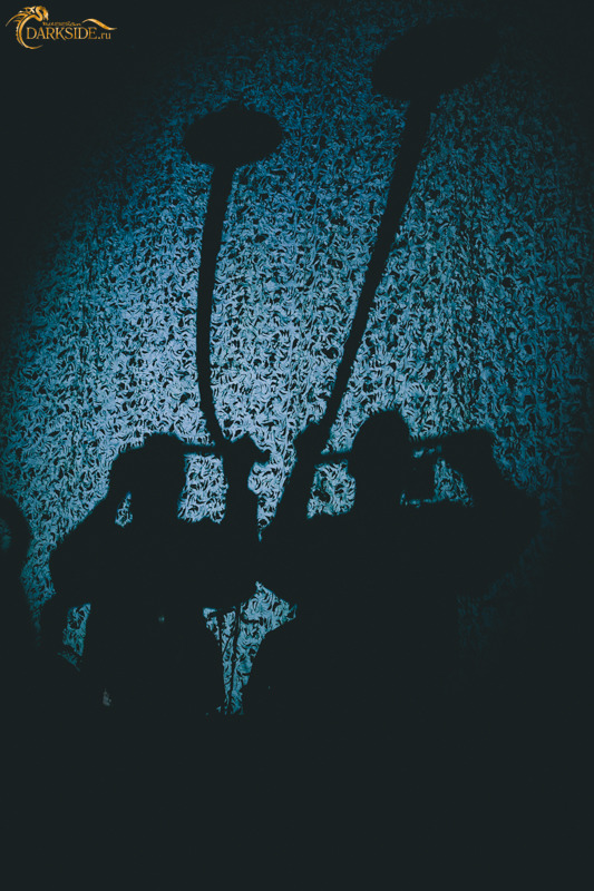 Wardruna 