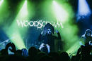 Woodscream 