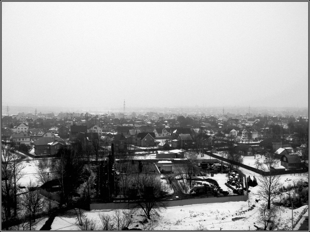 Winter