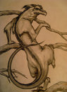 Forest Creature