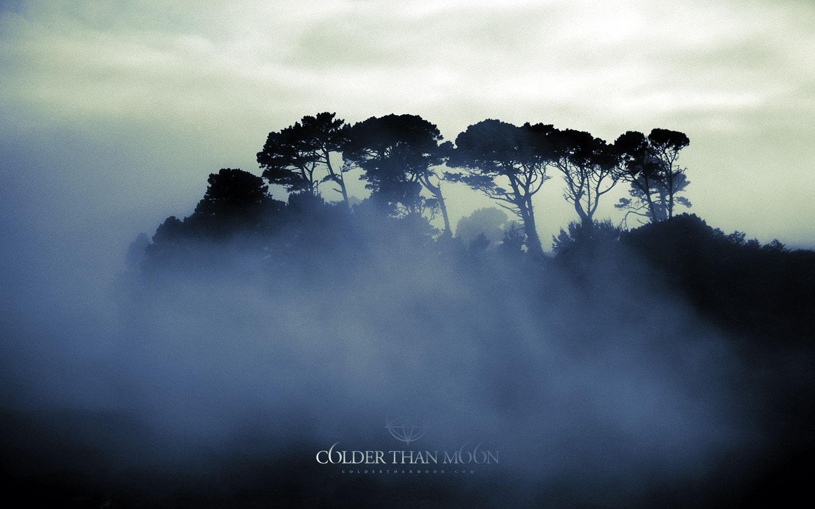 The Fog