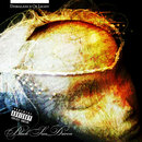 Black Sun Driven