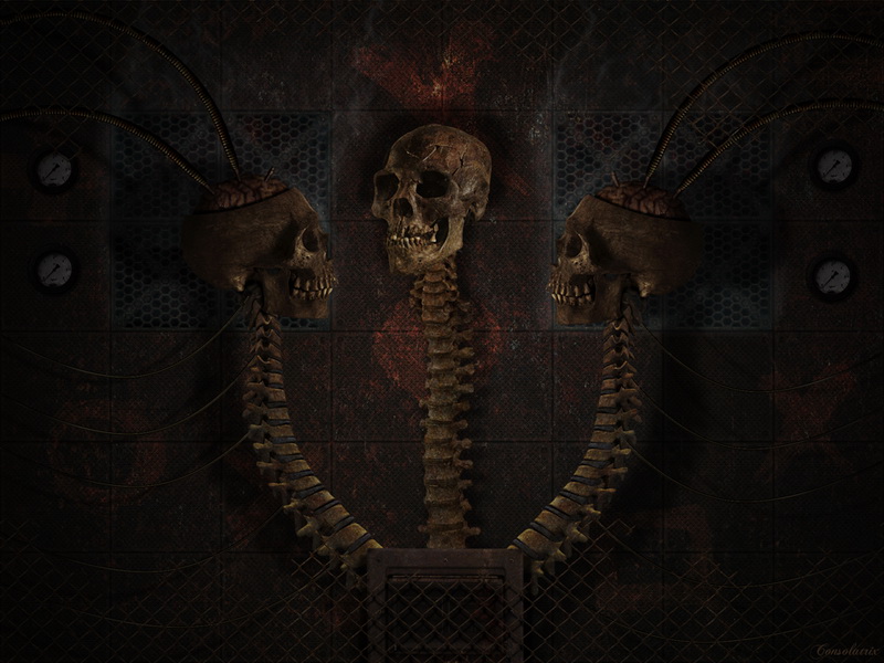Injected Mind