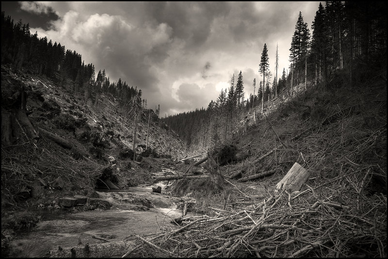 When the wind is gone