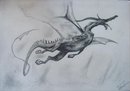Dragon fly
