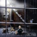 Unlocking the Cage 1995 - 2000