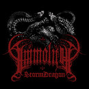 StormDragon